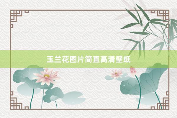 玉兰花图片简直高清壁纸